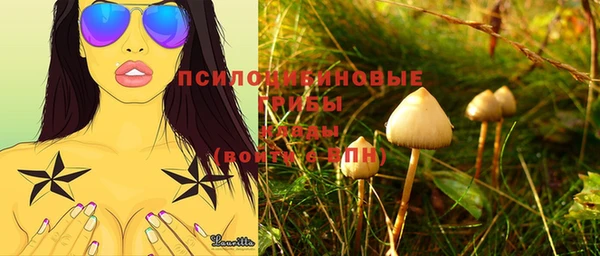 дмт Михайловск